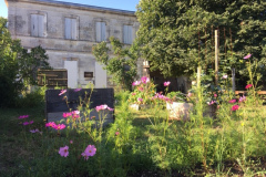9-juillet-2019-Jardin-Partage