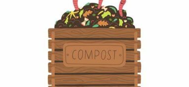 DISTRIBUTION DE COMPOSTEURS